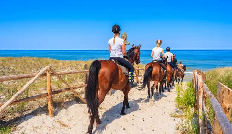 Horseback Beach Ride <span>with professional instructors</span> - 1 - Wroclaw Tours